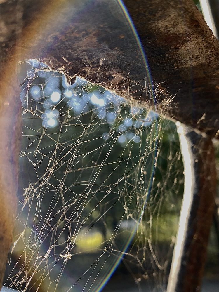 Фотография автора Ольга Лазаренко