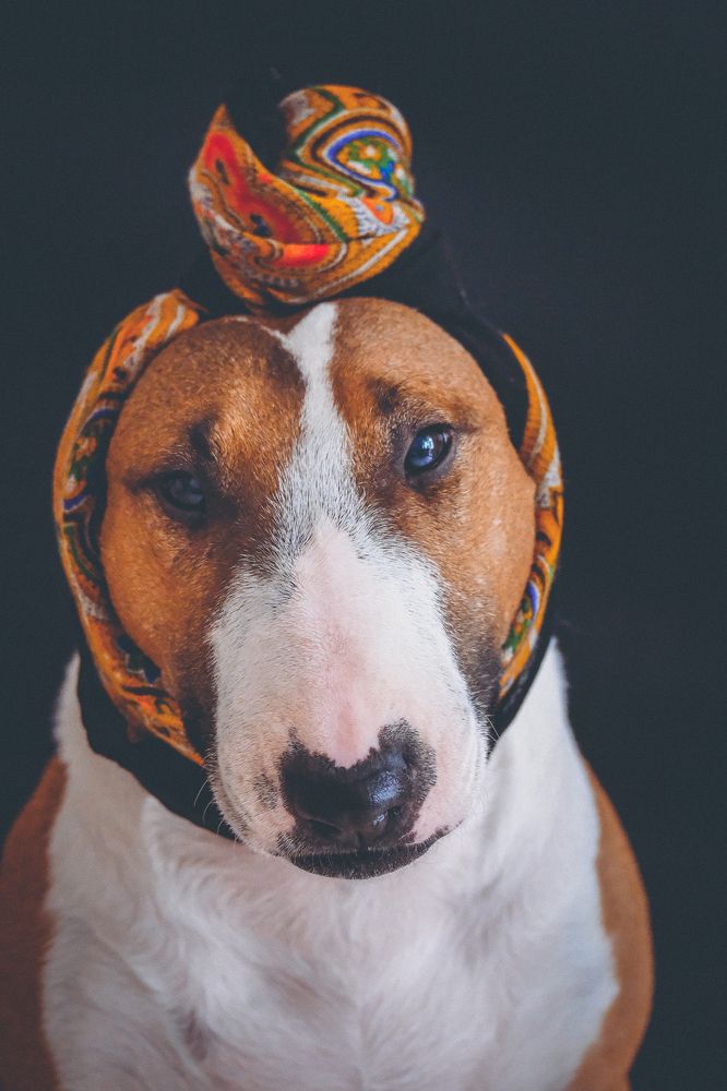 Photograph by Маруся Арбуа