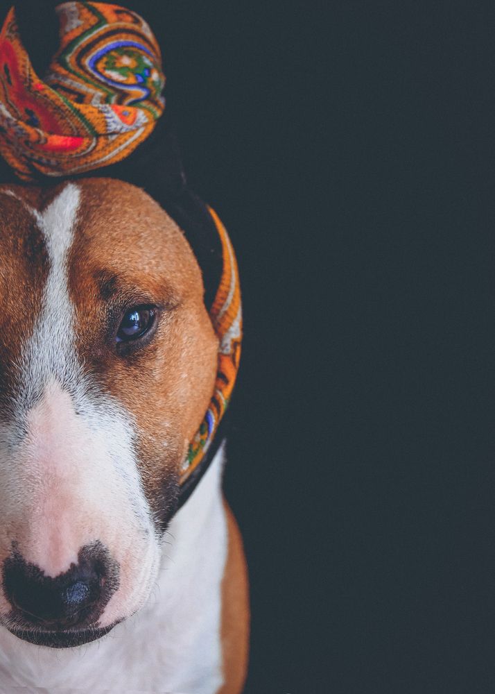 Photograph by Маруся Арбуа