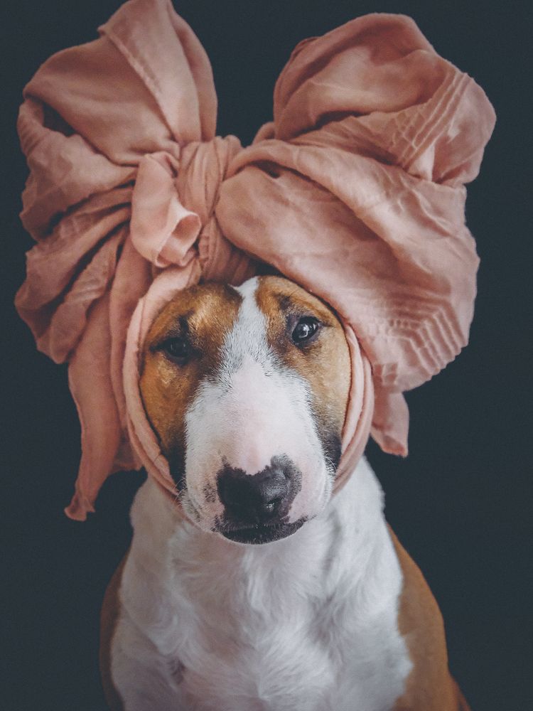 Photograph by Маруся Арбуа