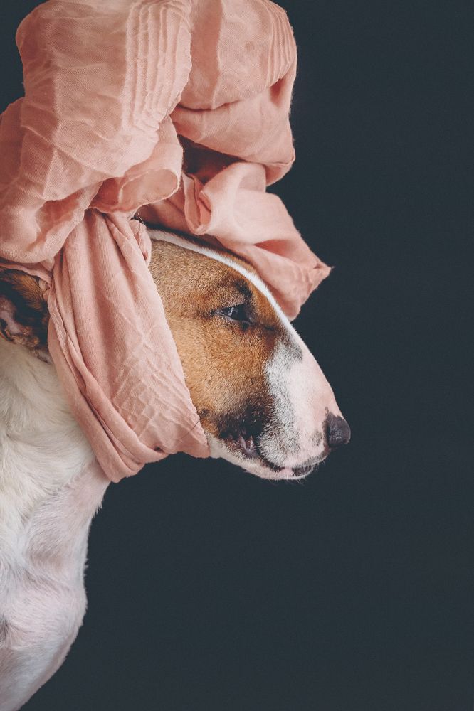 Photograph by Маруся Арбуа