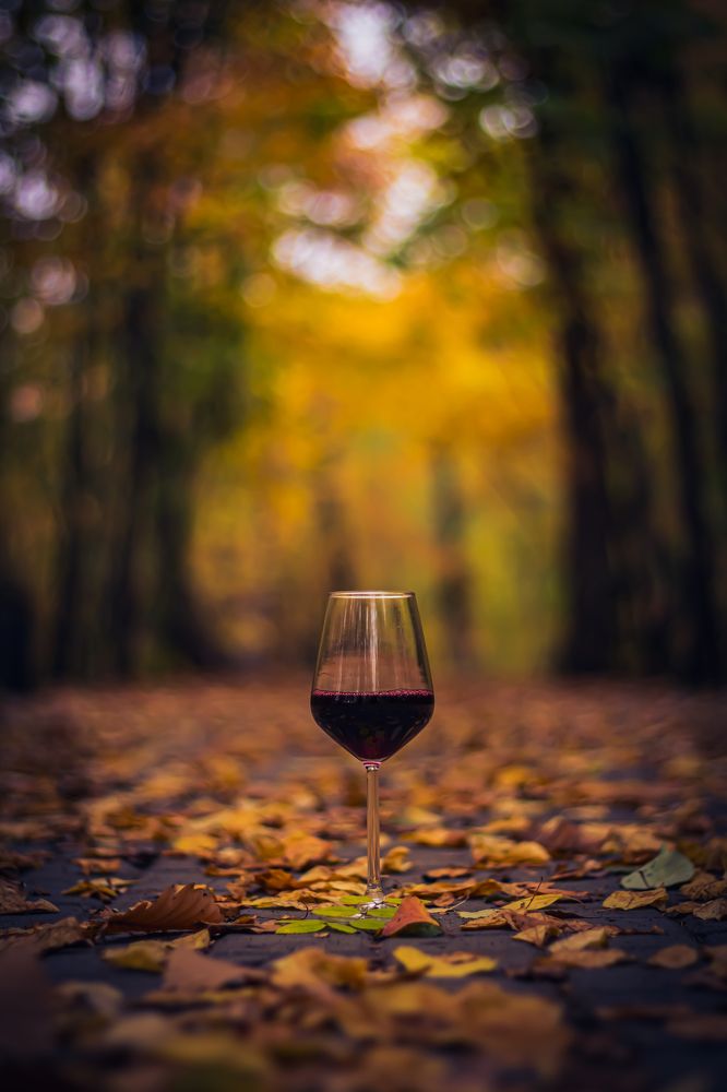 Photograph by Анна Осинцева