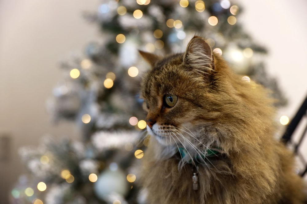 Photograph by Галина Фурсова