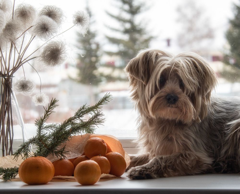 Photograph by Ирина Яук