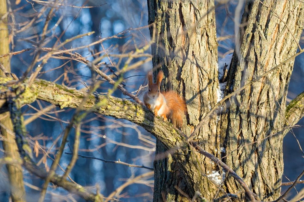Фотография автора Иван Безрядин
