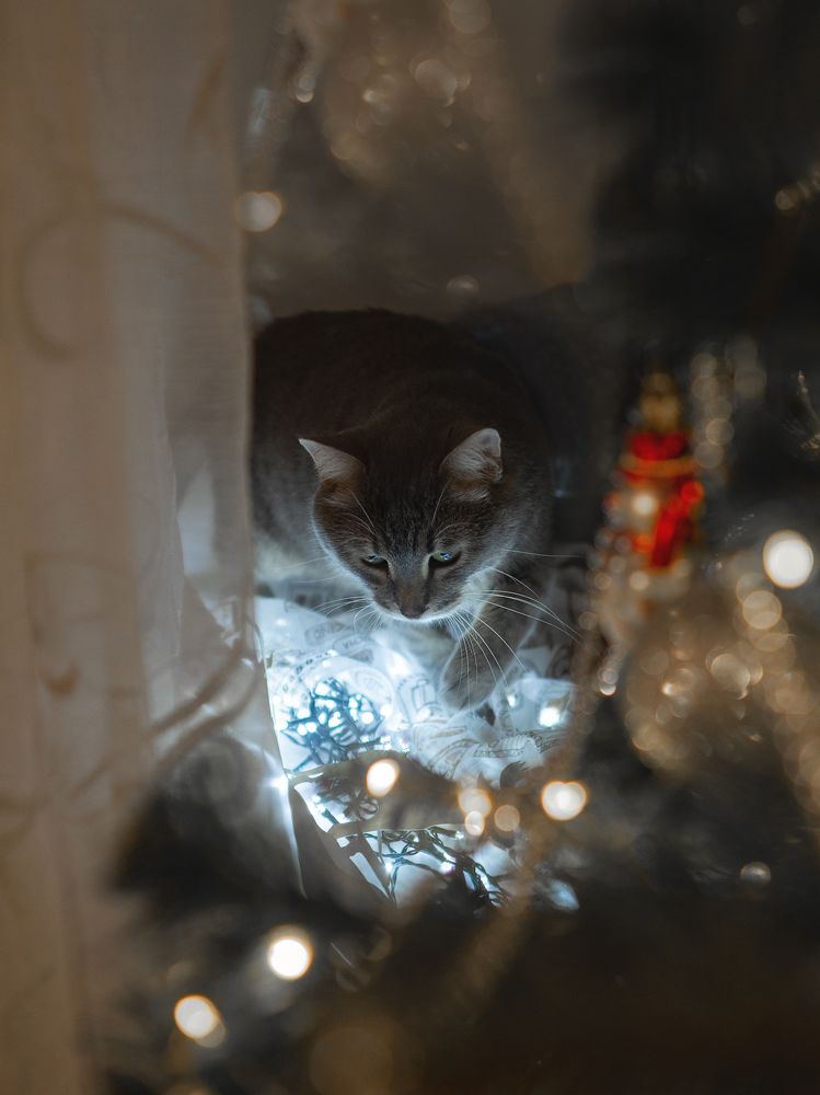 Photograph by Larisa Usova