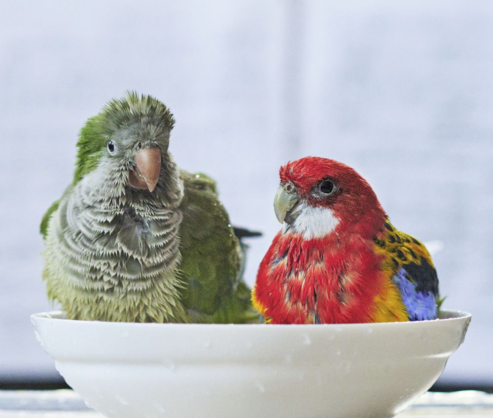 Photograph by Игорь Зиновьев