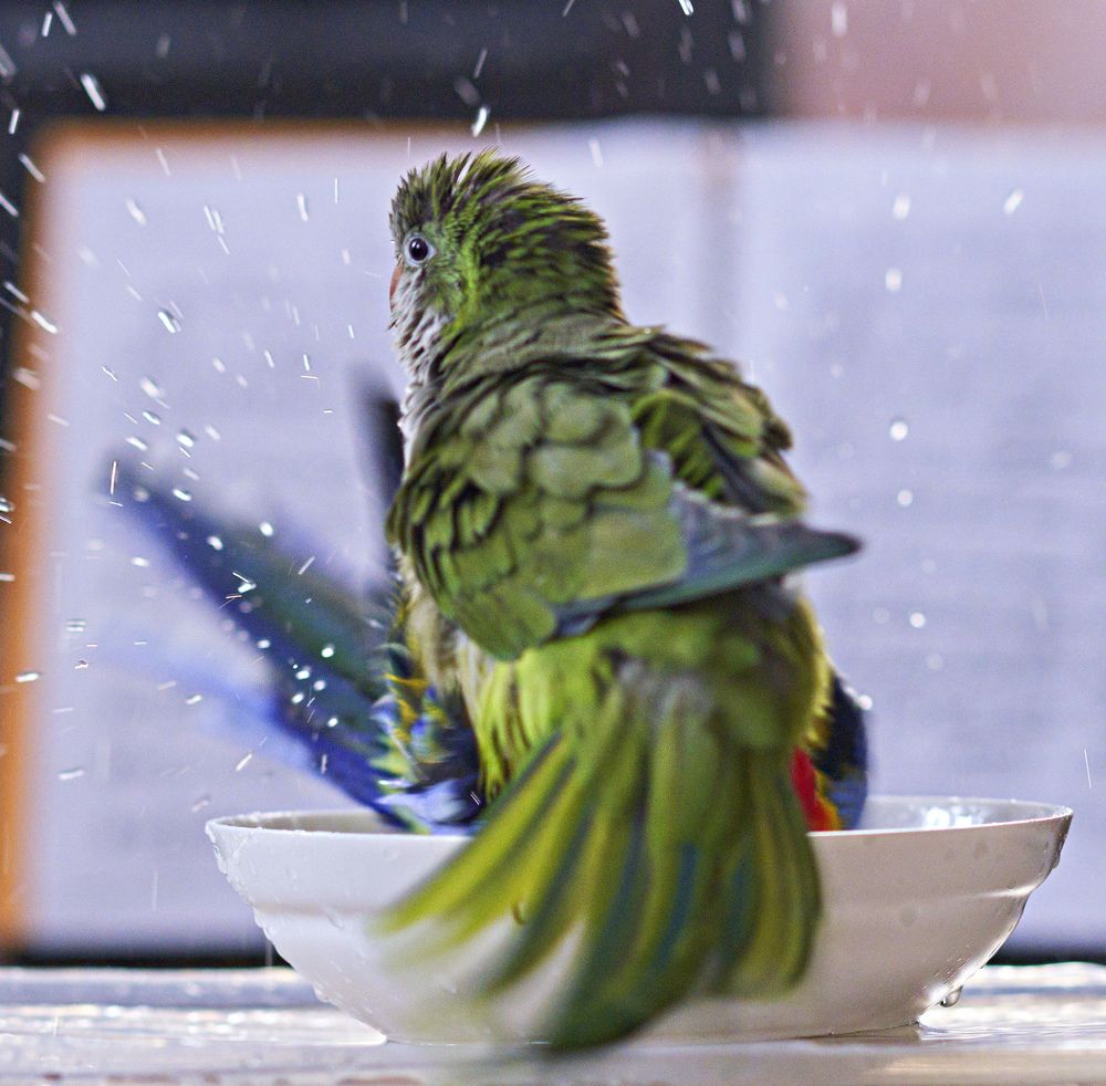 Photograph by Игорь Зиновьев