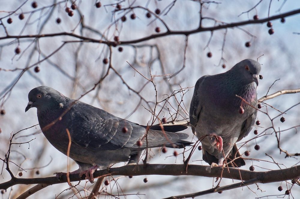 Фотография автора Маргарита Тетёркина