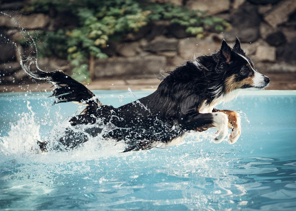 Photograph by Svetlana Pascoal