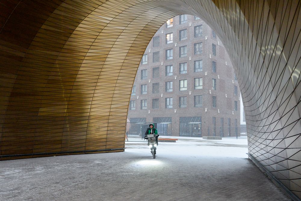 Photograph by Olga Mendosa