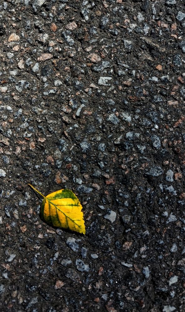 Photograph by Ольга Терскова