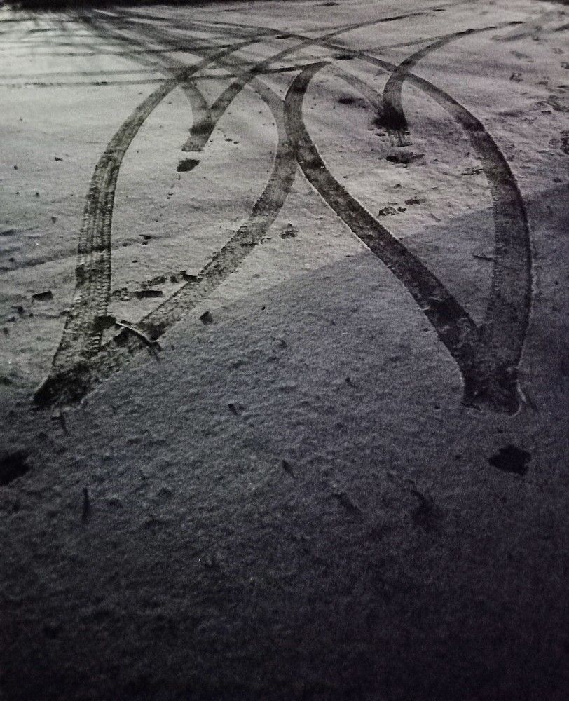 Photograph by Елена Воронова