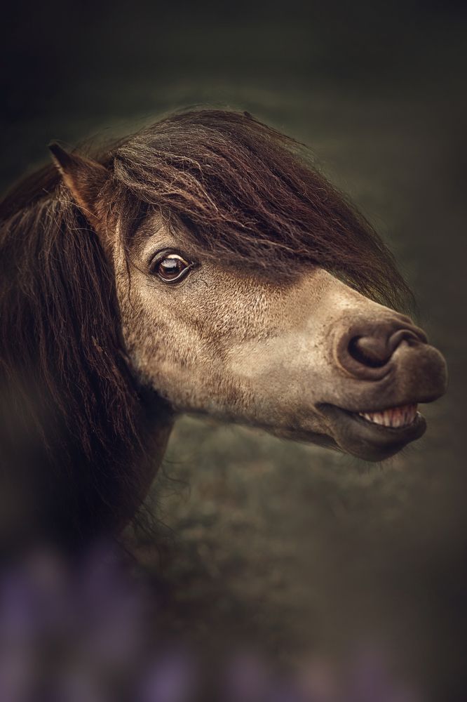 Фотография автора Рымакова Арина