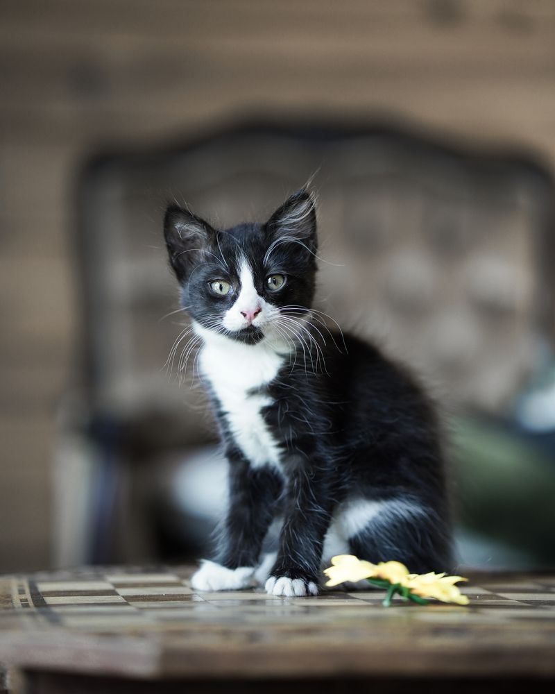 Photograph by Svetlana Pascoal