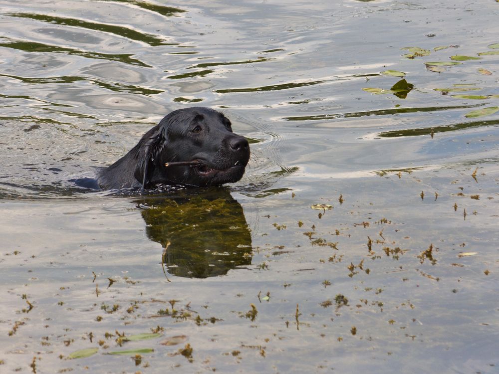 Фотография автора Борис Журавлёв
