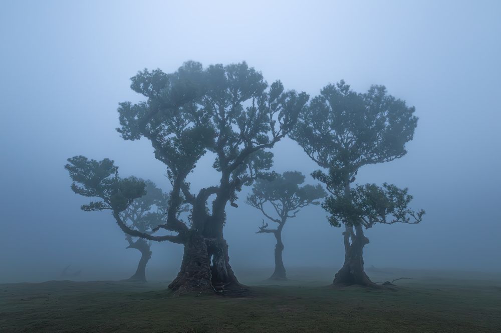 Photograph by Jose Uceda