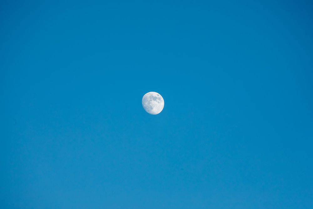 Photograph by Марина Комина