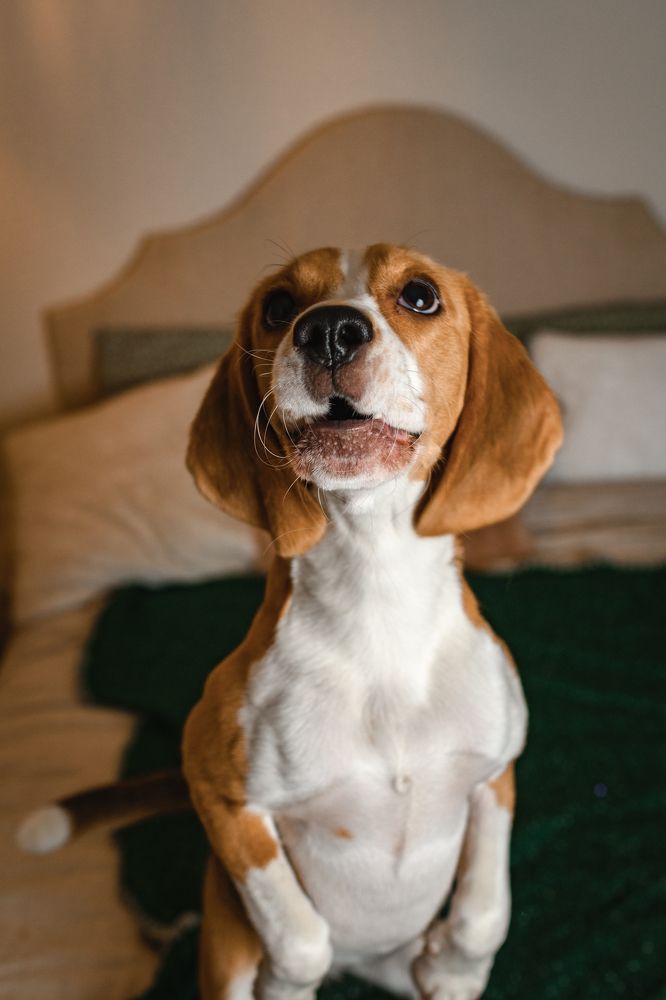 Фотография автора Natalia Sorenkova