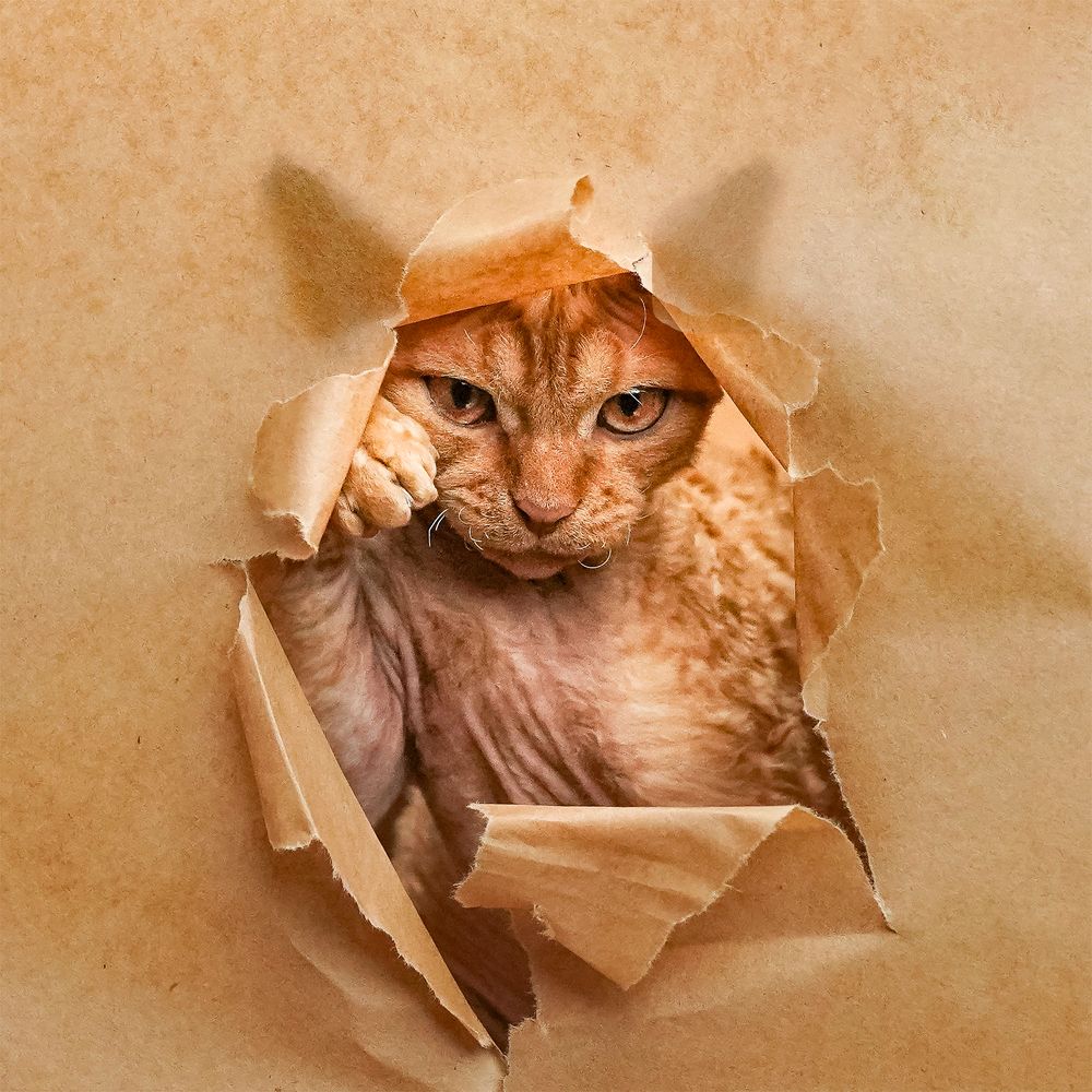 Фотография автора Irina Kozhemyakina