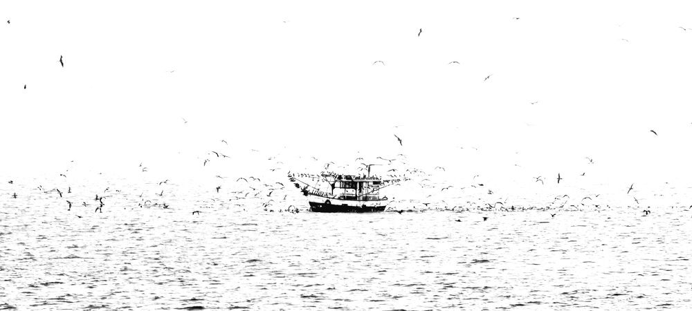 Photograph by Gr Marie