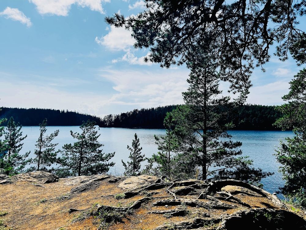 Photograph by Елена Маркова