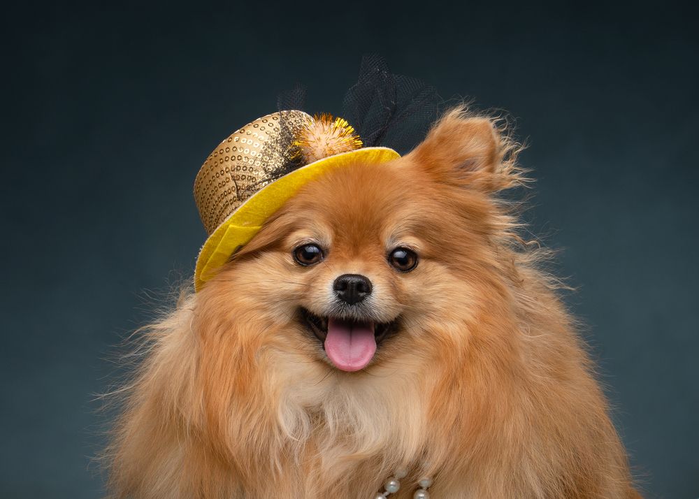 Фотография автора Валерия Капитонова