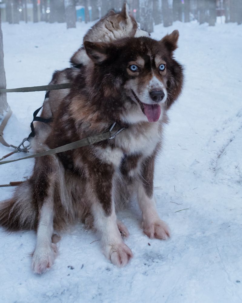 Photograph by Тамара Вотинцева