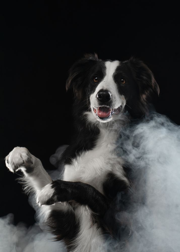 Фотография автора Валерия Капитонова