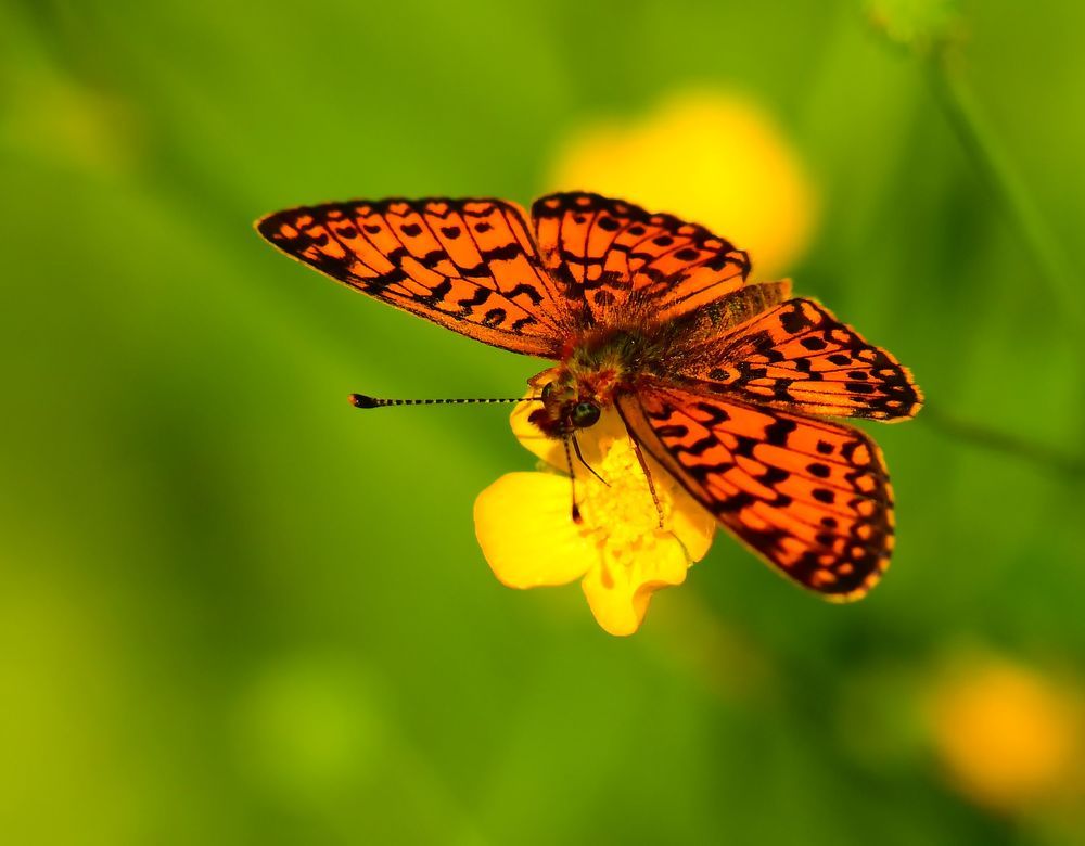 Photograph by Николай Абакумов