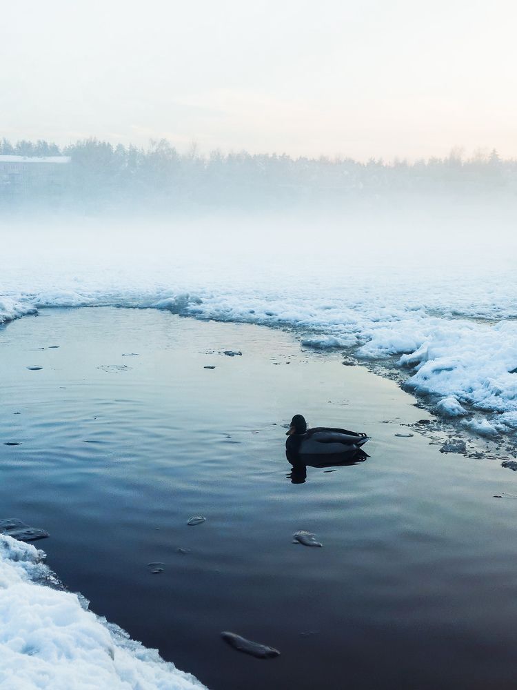 Photograph by Наталия Короленко