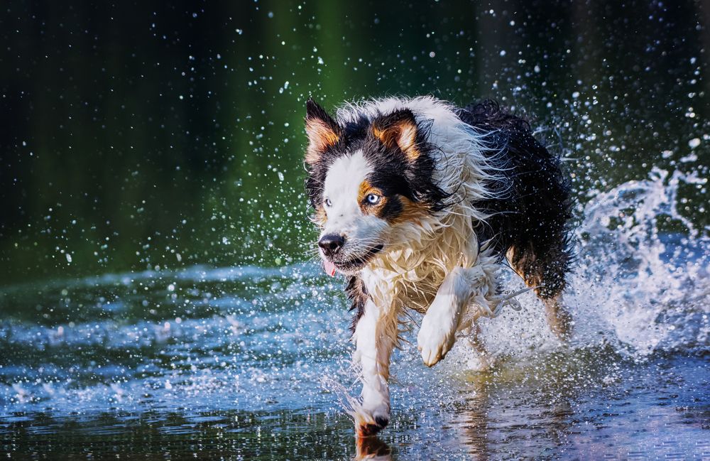 Photograph by Zaneta Konradova