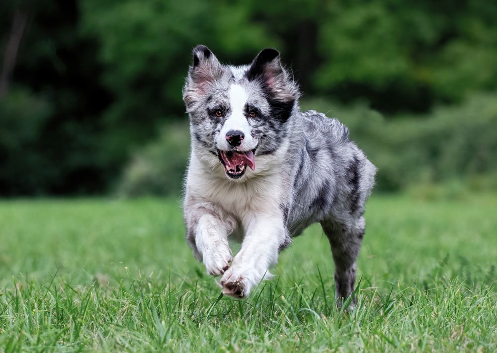 Photograph by Zaneta Konradova