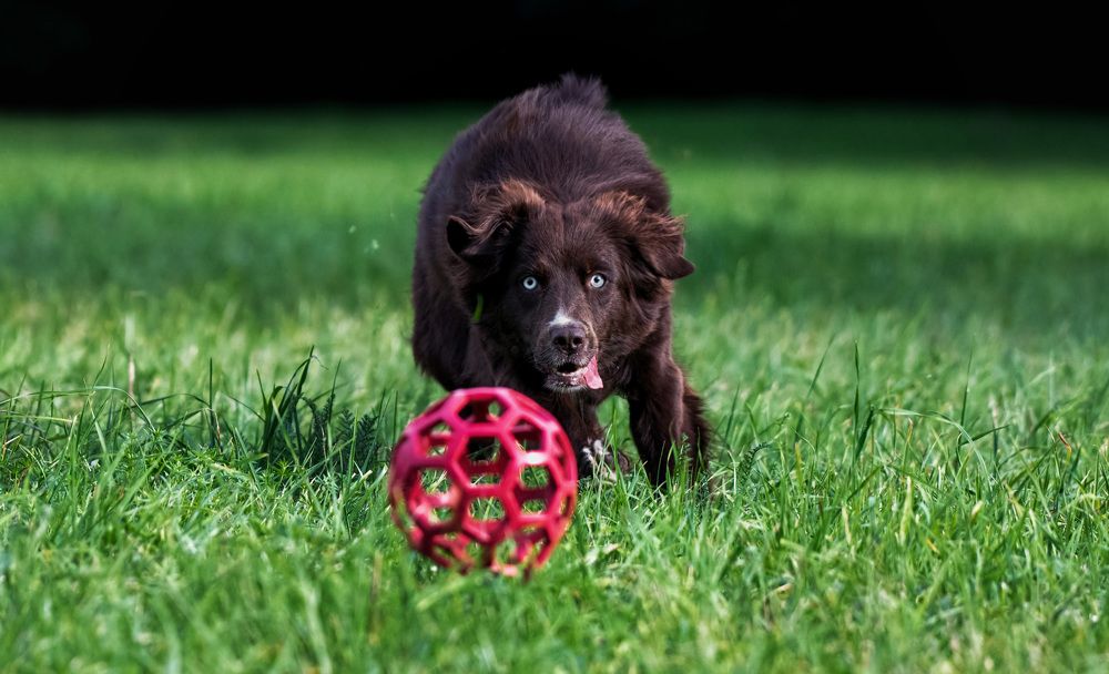 Photograph by Zaneta Konradova