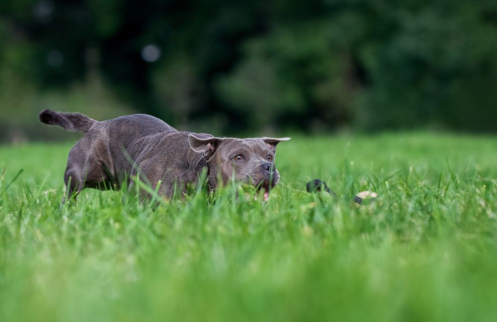 Photograph by Zaneta Konradova