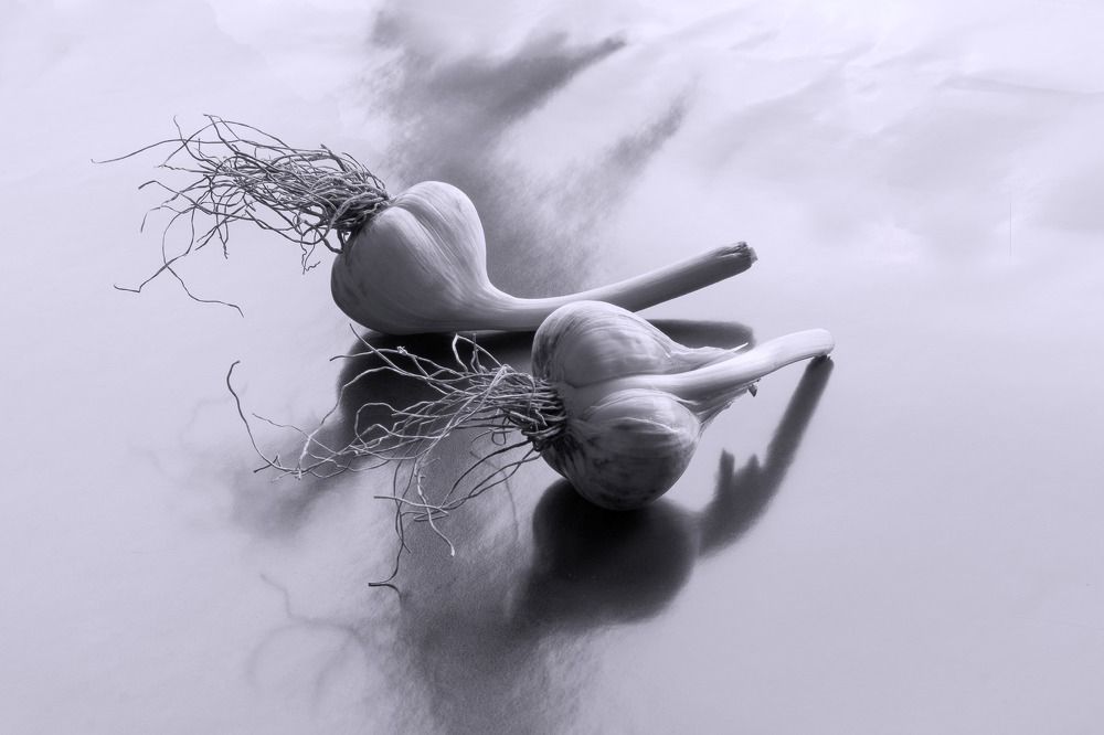 Photograph by София Стрыгина