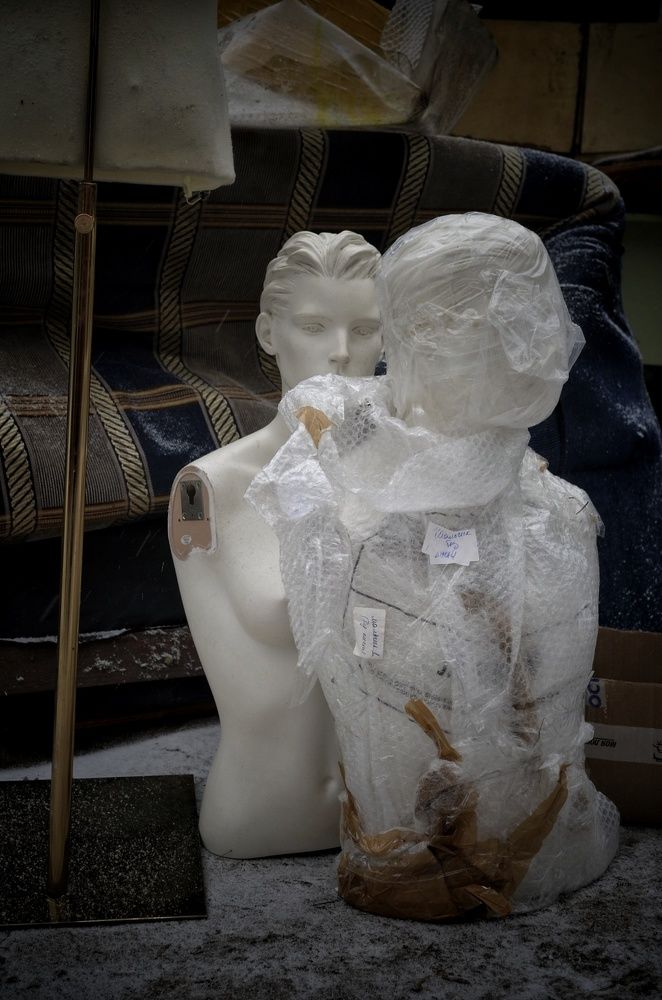 Photograph by Guseva Marina