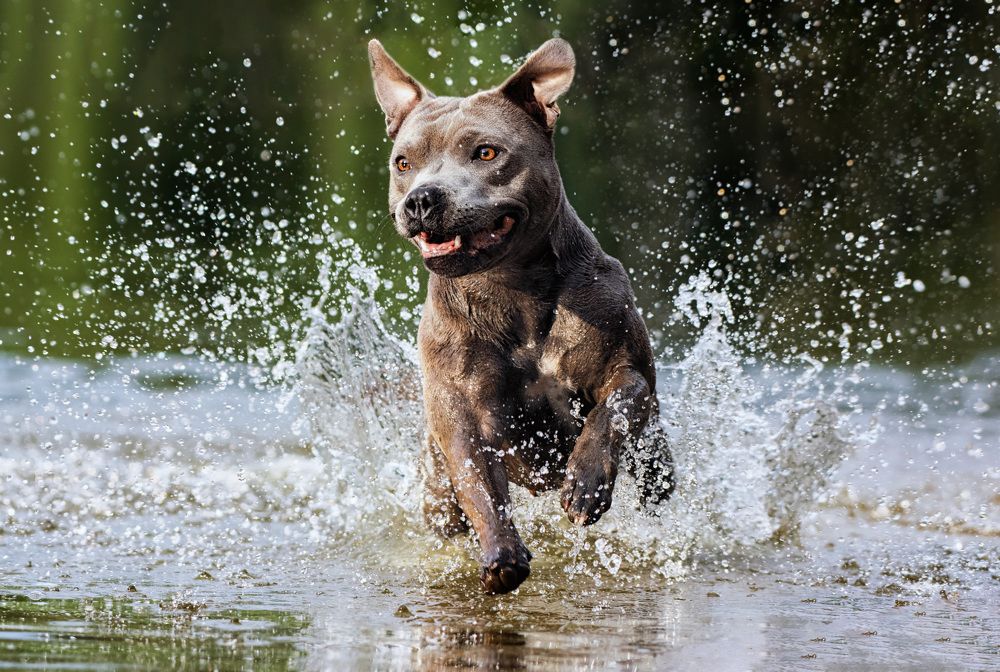 Photograph by Zaneta Konradova