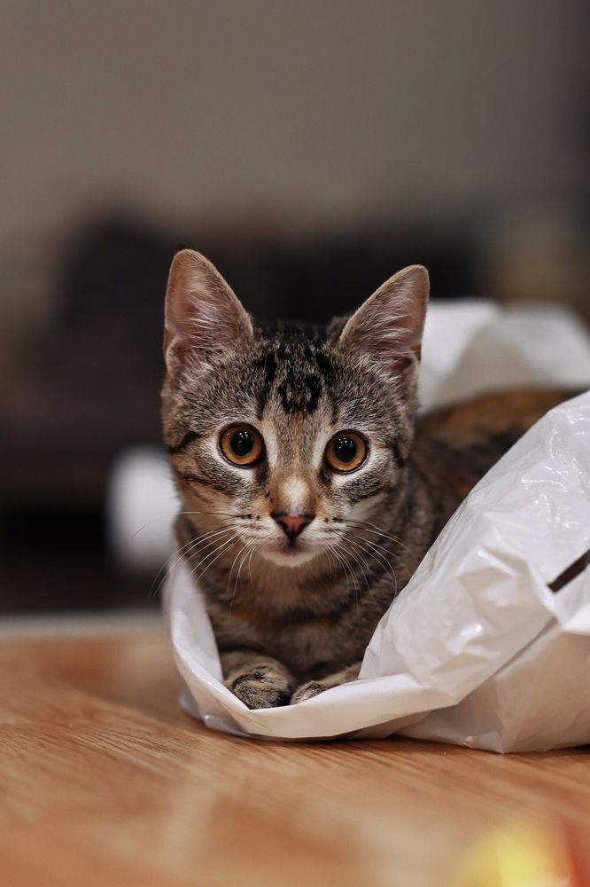 Photograph by Maxim Lip