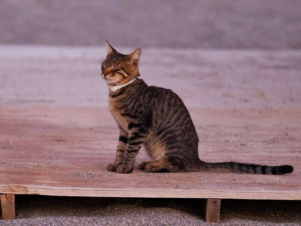 Photograph by Maxim Lip