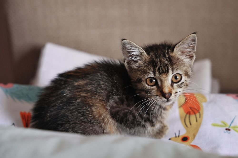 Photograph by Maxim Lip