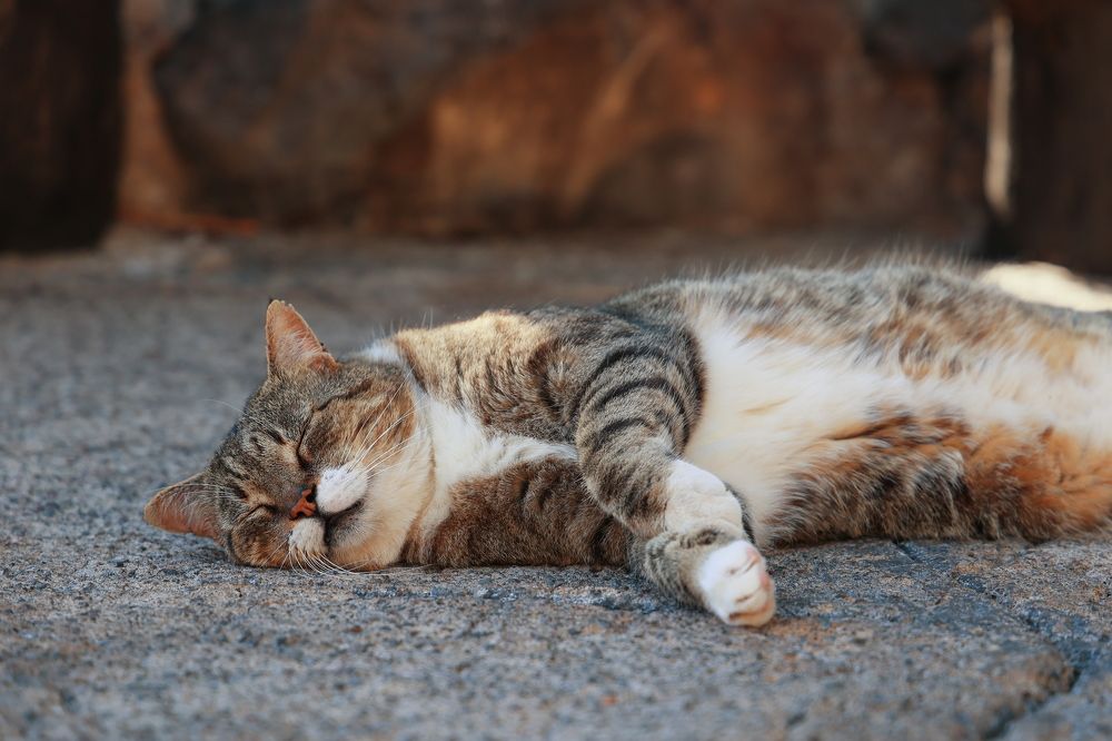 Photograph by Maxim Lip