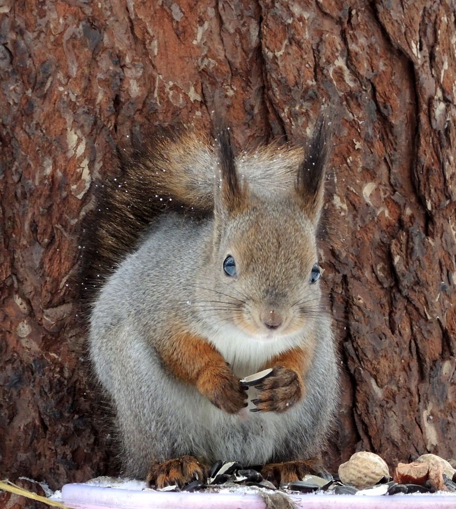 Photograph by Марина Колядина