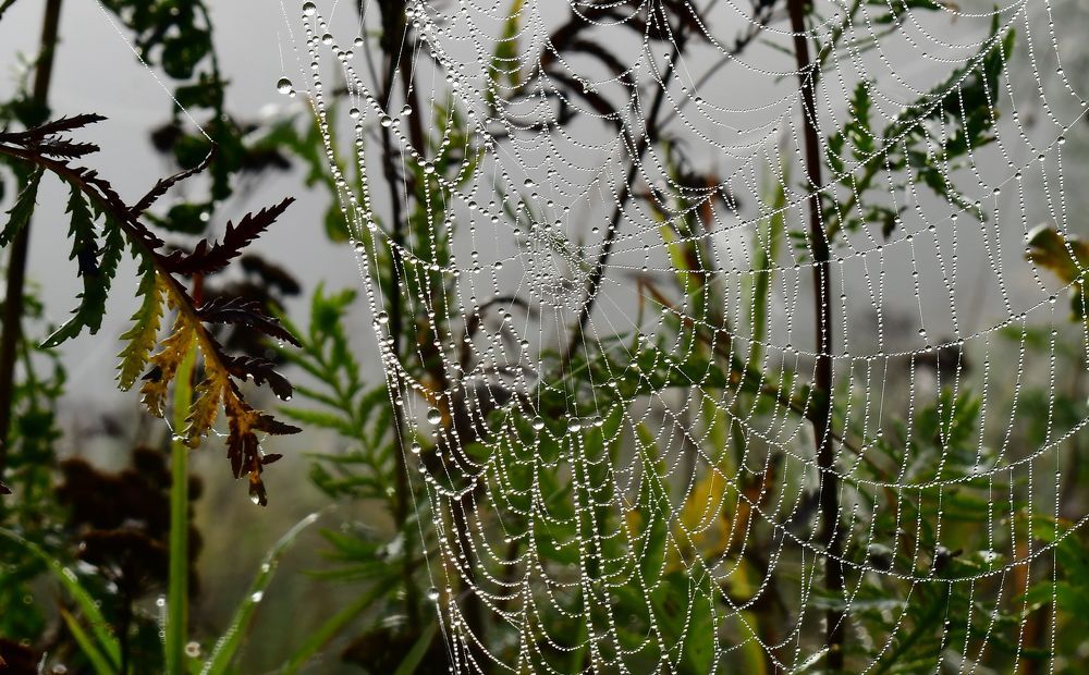 Photograph by Николай Абакумов