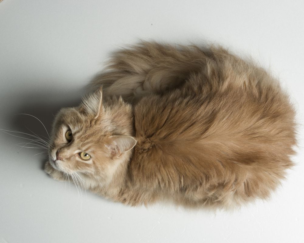 Photograph by Marina Lucenko