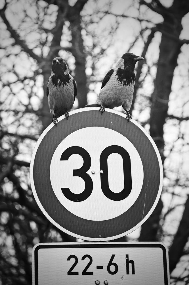 Photograph by Румен Сомов