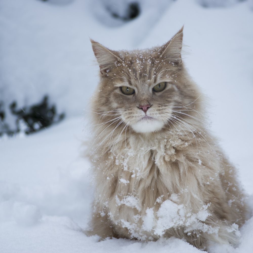 Photograph by Marina Lucenko