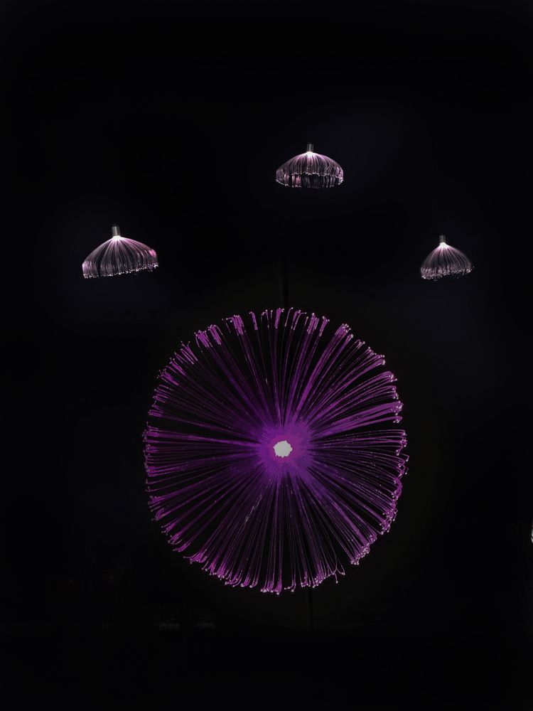 Photograph by Людмила Евстратова