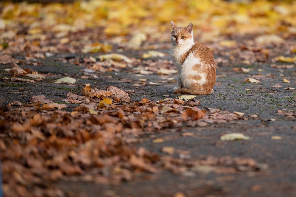 Photograph by Marina Lucenko