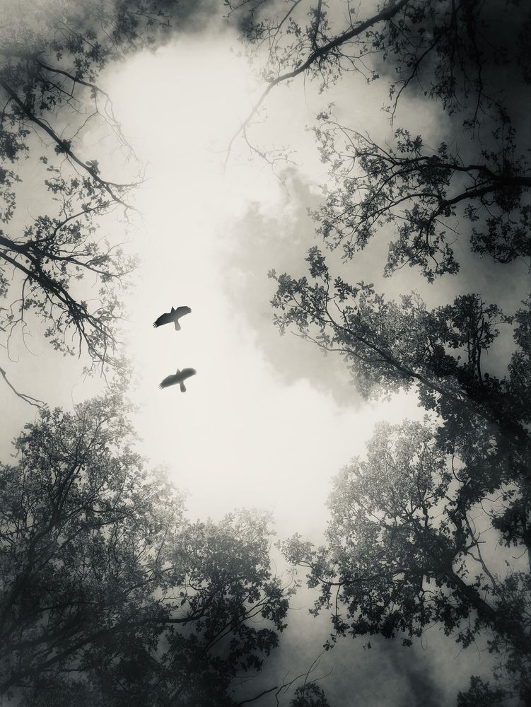 Photograph by Людмила Евстратова